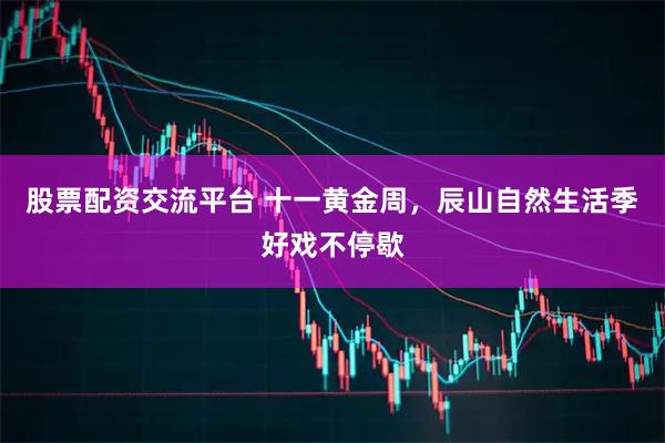 股票配资交流平台 十一黄金周，辰山自然生活季好戏不停歇